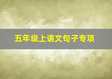 五年级上语文句子专项