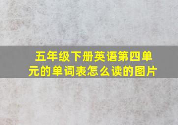 五年级下册英语第四单元的单词表怎么读的图片