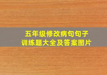 五年级修改病句句子训练题大全及答案图片