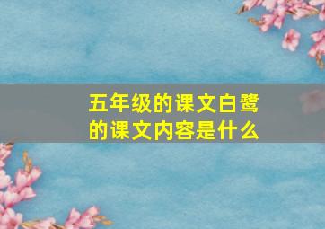 五年级的课文白鹭的课文内容是什么