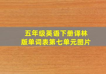 五年级英语下册译林版单词表第七单元图片