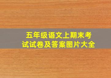 五年级语文上期末考试试卷及答案图片大全