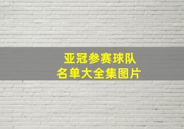 亚冠参赛球队名单大全集图片