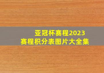 亚冠杯赛程2023赛程积分表图片大全集