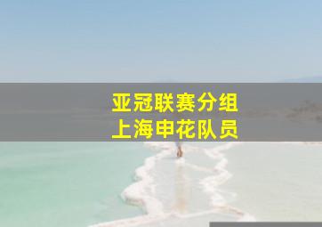 亚冠联赛分组上海申花队员