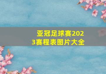 亚冠足球赛2023赛程表图片大全