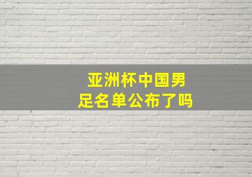 亚洲杯中国男足名单公布了吗