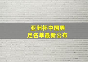 亚洲杯中国男足名单最新公布