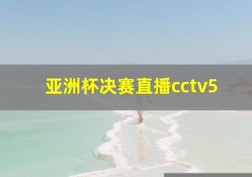 亚洲杯决赛直播cctv5