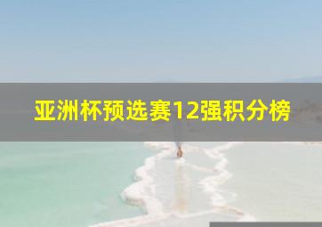 亚洲杯预选赛12强积分榜