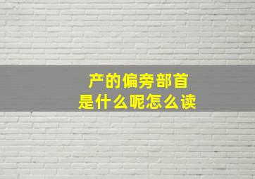 产的偏旁部首是什么呢怎么读