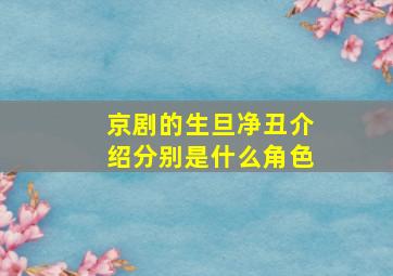 京剧的生旦净丑介绍分别是什么角色