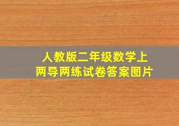 人教版二年级数学上两导两练试卷答案图片