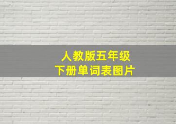 人教版五年级下册单词表图片