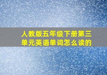 人教版五年级下册第三单元英语单词怎么读的