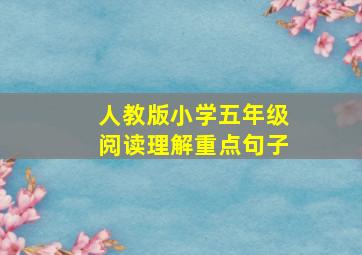 人教版小学五年级阅读理解重点句子