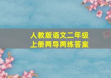 人教版语文二年级上册两导两练答案