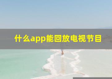 什么app能回放电视节目