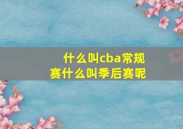 什么叫cba常规赛什么叫季后赛呢