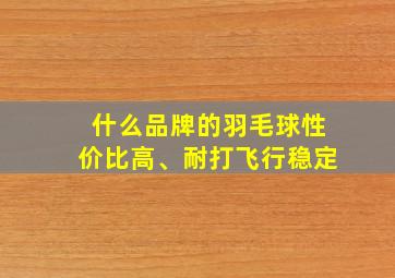 什么品牌的羽毛球性价比高、耐打飞行稳定