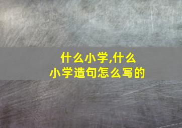 什么小学,什么小学造句怎么写的