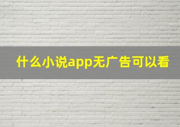 什么小说app无广告可以看