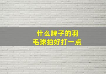 什么牌子的羽毛球拍好打一点