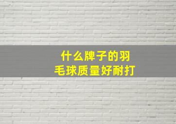 什么牌子的羽毛球质量好耐打