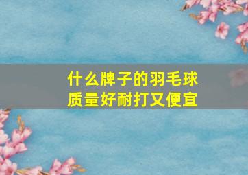 什么牌子的羽毛球质量好耐打又便宜