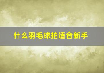 什么羽毛球拍适合新手