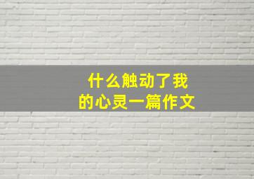 什么触动了我的心灵一篇作文