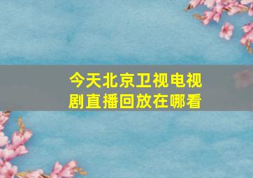 今天北京卫视电视剧直播回放在哪看