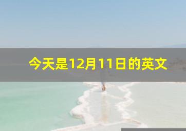 今天是12月11日的英文