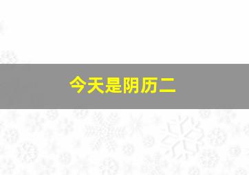 今天是阴历二