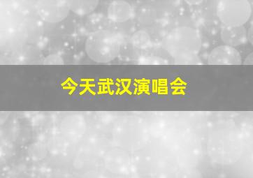 今天武汉演唱会