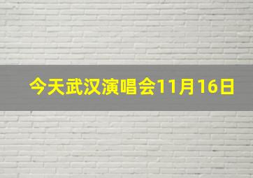 今天武汉演唱会11月16日