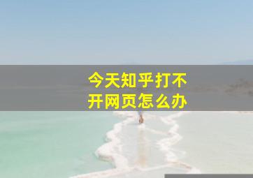 今天知乎打不开网页怎么办