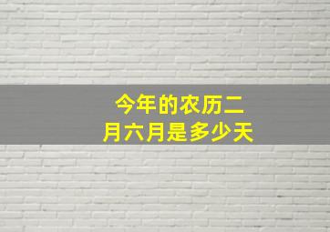 今年的农历二月六月是多少天