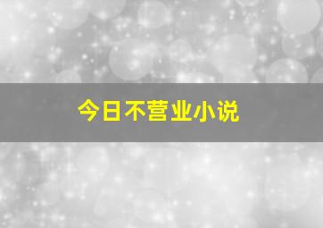 今日不营业小说