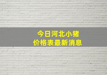 今日河北小猪价格表最新消息