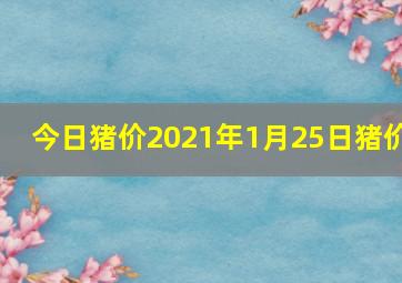 今日猪价2021年1月25日猪价