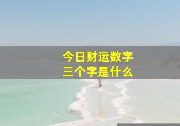 今日财运数字三个字是什么