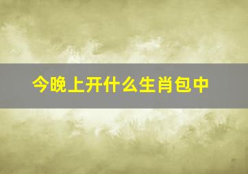 今晚上开什么生肖包中