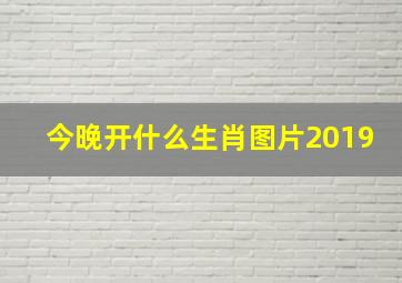 今晚开什么生肖图片2019