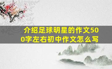 介绍足球明星的作文500字左右初中作文怎么写