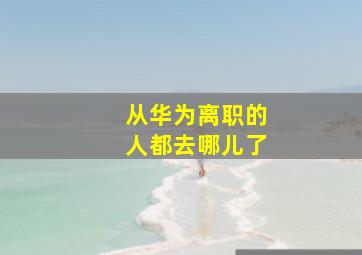 从华为离职的人都去哪儿了