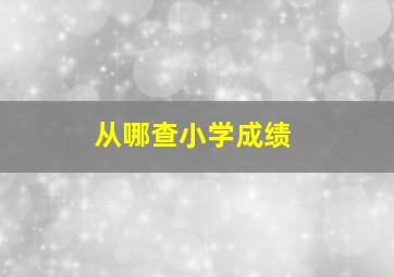 从哪查小学成绩