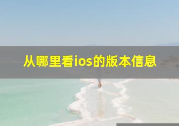 从哪里看ios的版本信息