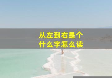 从左到右是个什么字怎么读