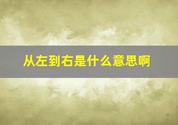 从左到右是什么意思啊